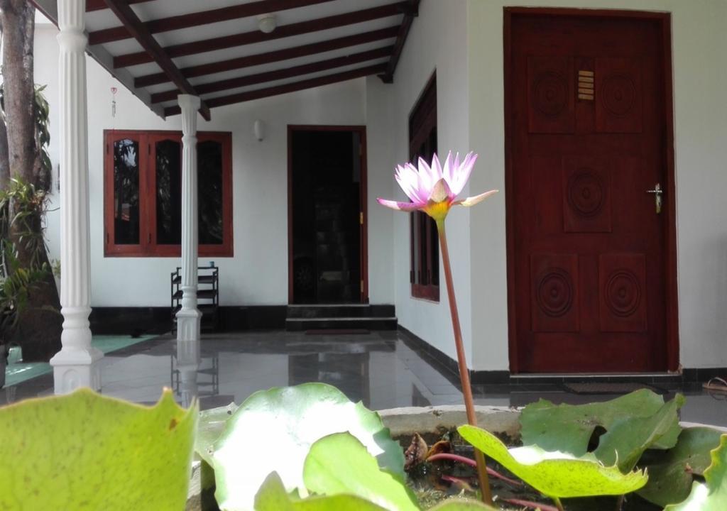 House Of Seya Bed & Breakfast Негомбо Екстериор снимка